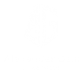 EDV-Galli Logo